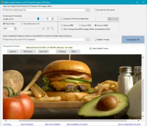 Main window of Mass Image Compressor (Windows)
