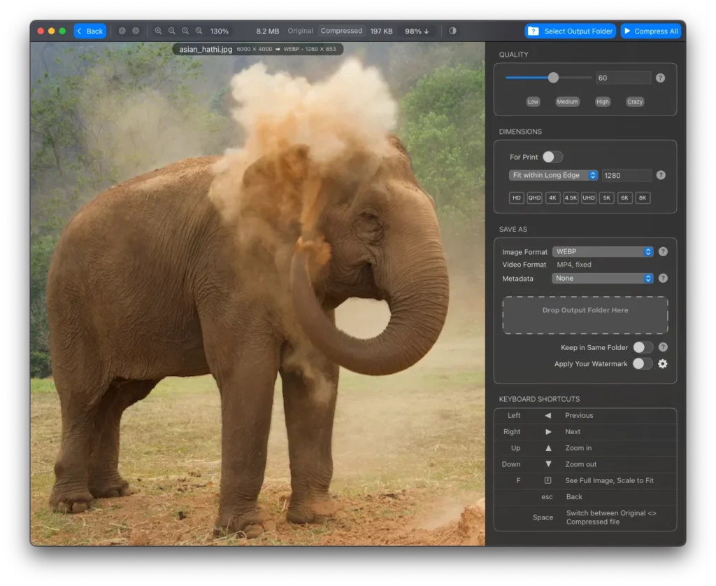 Live compression preview in Mass Image Compressor.