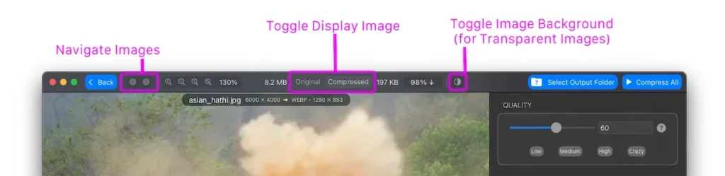 Image showing partial screenshot of Mass Image Compressor showing location of navigation and toggle buttons apart from other elements of Live Preview Screen