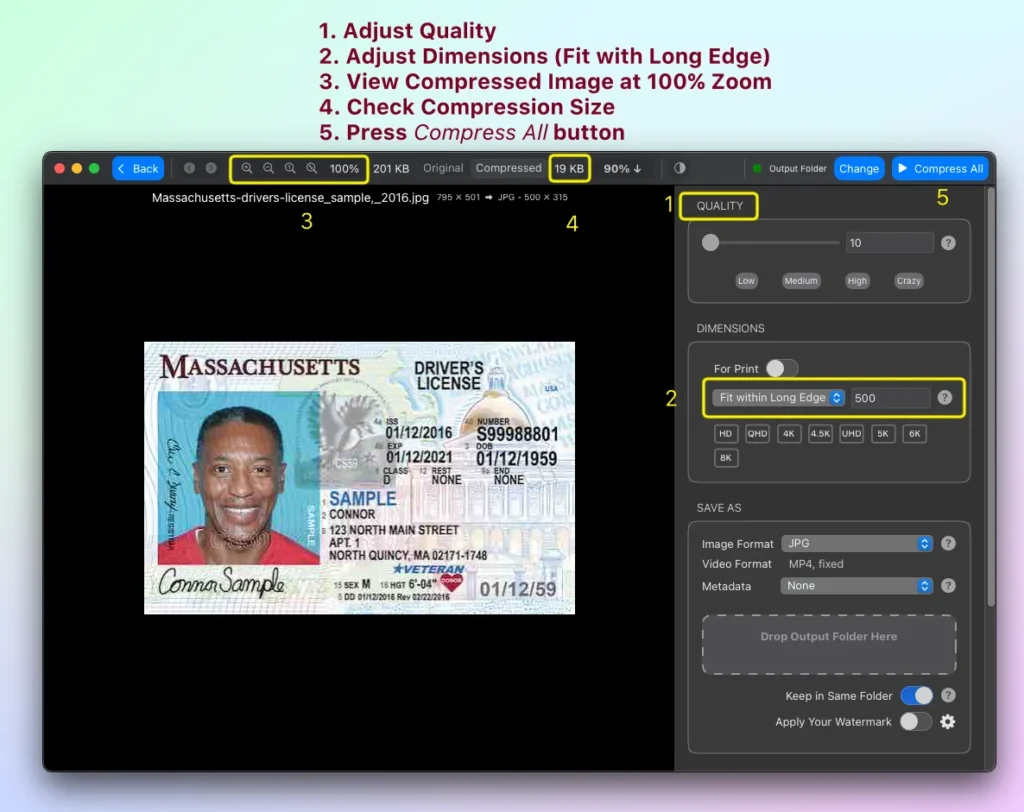 Live compression preview of Mass Image Compressor for compressing image to desired size and quality